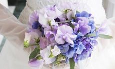 改写： 坚韧不拔、毫不动摇——不会低头求援，也不会妥协讨好的星座女生