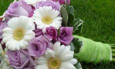 这三个星座有着众多桃花，但却面临着难以遇见真心的挑战