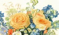 和这些星座在一起，不止一回生，甚至二回也生！