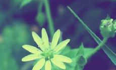 如果梦见鱼咬人，它可以预示什么？梦见鱼在水中跃出表示什么符号？