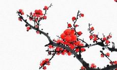 深入探讨：金牛座女生在性与情感方面的宽容度及心态特质