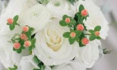 如果十二星座成为神灵，它们将会变成怎样的神灵呢？