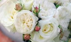 这些星座展现着无坚不摧的力量，他们的坚强绝不容忽视