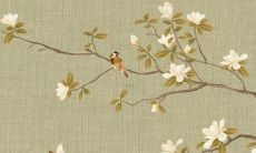 预测：根据12生肖星座分析，李沁在2022年的事业、财运和感情运势将是如何的？