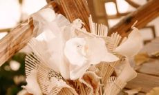 各类星座肥胖状况排行榜：排名、评估标准与调整建议