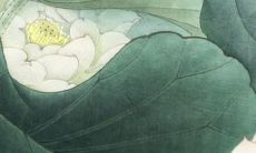 声音悦耳的满族族裔女孩名字推荐