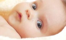 一份收集了各种可爱、有趣、独特喵咪名字的完整清单