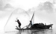 命名来自于18年丑时生肖的女婴名称：探索古老陈规的传统文化