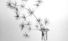 2020年7月15日出生的鼠宝宝，八字命理分析：如何解读其命运与运势？