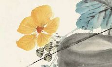 2022年，平地木命者将迎来虎年流年运程，水旺五行将带来丰盈的财运之年