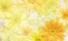 探究双鱼座的恋爱轨迹：他们的个人魅力如何影响着他们在何年纪遇见真爱？