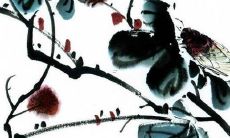 如何取一个有趣、好听、符合个性的QQ男生名字？