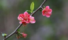 经历梦境变小后与父母相处的亲密体验