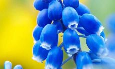 原标题：梦见领导生气了怎么回事？