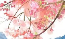 气质迷人的著名人士独特的、舒适的、优雅的名字