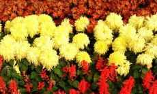 揭密上升星座为水瓶座的女性:她们大部分人生轨迹平凡,却也能获得无数幸福(详解水瓶座女性性格特点)