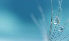 鼠年属相是否适合组成夫妻关系：探究同生肖鼠之间的姻缘是否带来财源广进