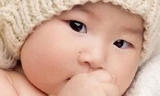 探索带有木质元素的音韵悦耳的命名方案