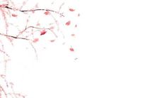 独具匠心、令人印象深刻且优雅的茶叶店名称建议