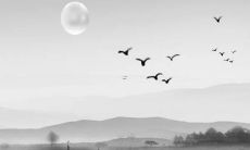 如何选择一个优雅好听的女生名字？