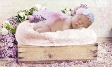 梦见标枪并求周公解梦鉴定,寻觅梦中标枪象征何意?