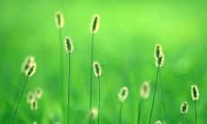 梦见老公和情人，揭示你内心深处的情感纠葛和心理状况为什么？梦境背后的神秘寓意值得深究！