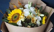 哪个星座的个性与狼相似？探究十二星座与狼的联系