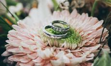 巨蟹座是哪种分类学上的星座？