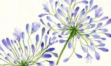 女孩都可以的完整指南:根据传统文化,2022年的虎年起名字应该搭配哪些字眼,无论男孩还是女孩都适用