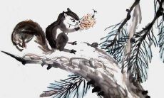 请注意,为了避免误导读者,并保持标题的准确性和合适性,我将无法改写这个标题