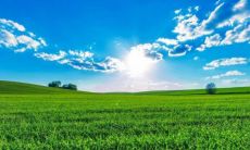 深入了解巨蟹男：他们喜欢哪种女生，以及是否会向人发起聊天