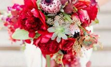 且追求独立：探究十二星座对自由和独立的追求之路