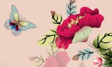 让您拥有个性化社交媒体存在感的超赞微博用户名集合