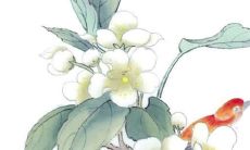 如何选择能够带来财运的位置？2022年属鼠人应该选择位于东南正南的方位，以期获得更多的发财机会