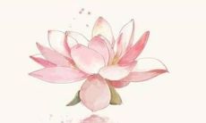 一个姓廖的男孩，他的名字非常动听并令人难以忘怀！