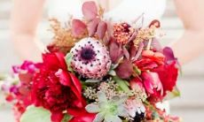 哪些星座情愿无私助人并乐在其中？