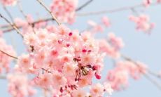 水瓶座和巨蟹座的闺蜜合适程度究竟如何？探讨二者配对关系的完整分析