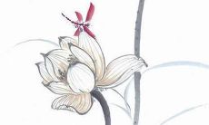 称誉着姓杨并爱吃辣的女孩名字出自古代经典《诗经》