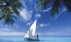 推荐：探究天蝎座是不是真的很记仇，以及他们是否会刻意对待自己喜欢的人冷落不理的表现