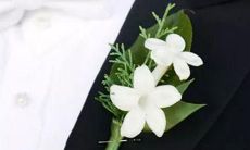 通过善意奉献积累美好报酬的仁慈星座女子