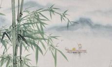 预测：1958年出生的属狗人在2022年的命运如何？