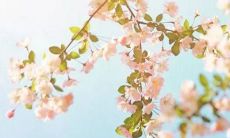 2022年起田姓婴儿免费享受高质量个性化起名服务！