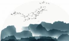 年出生的属龙人士在2022年的运势如何？