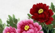 79年属羊的人43岁了,2022年恰逢桃花运,感情生活充满机会!