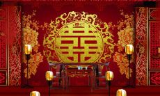 探究十二星座在装傻方面可达到何等程度的研究