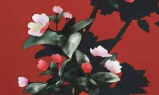 你曾经听说过最美妙动听的名字是什么?