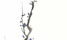 遭遇2021年辛丑流年大运的癸酉日柱可能面临漏财风险