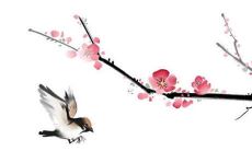 2022年属鸡人的爱情和婚姻前景如何？如何提升属鸡人的婚姻运势、激发爱情甜蜜？探究属鸡人2022年如何迎来旺盛的姻缘！