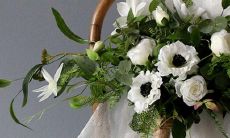 哪些星座最适合居住在六楼呢？