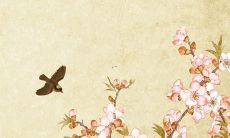 2022年属龙人的每月运势预测，详细解读，细致剖析！